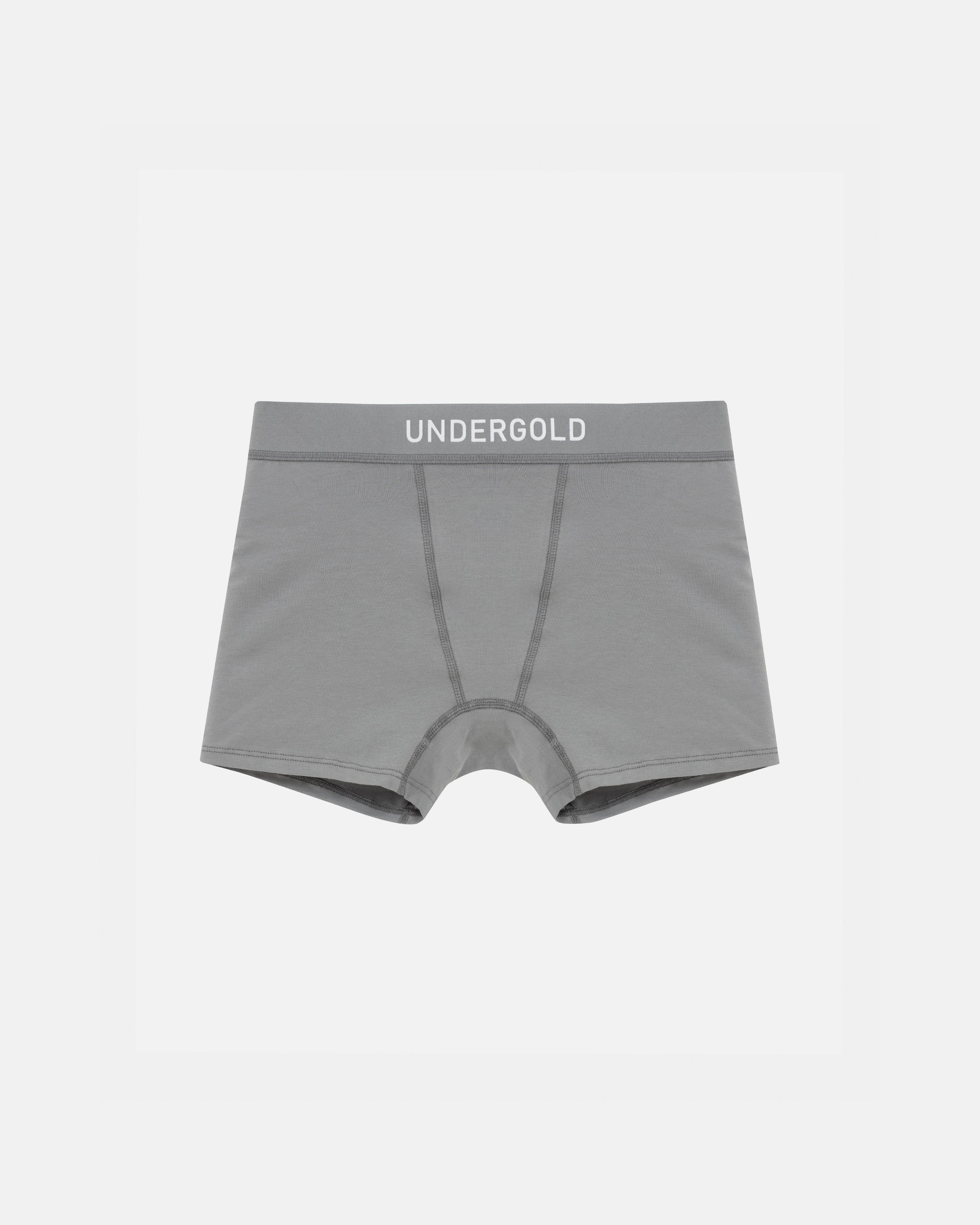W Basics Boxers Gray