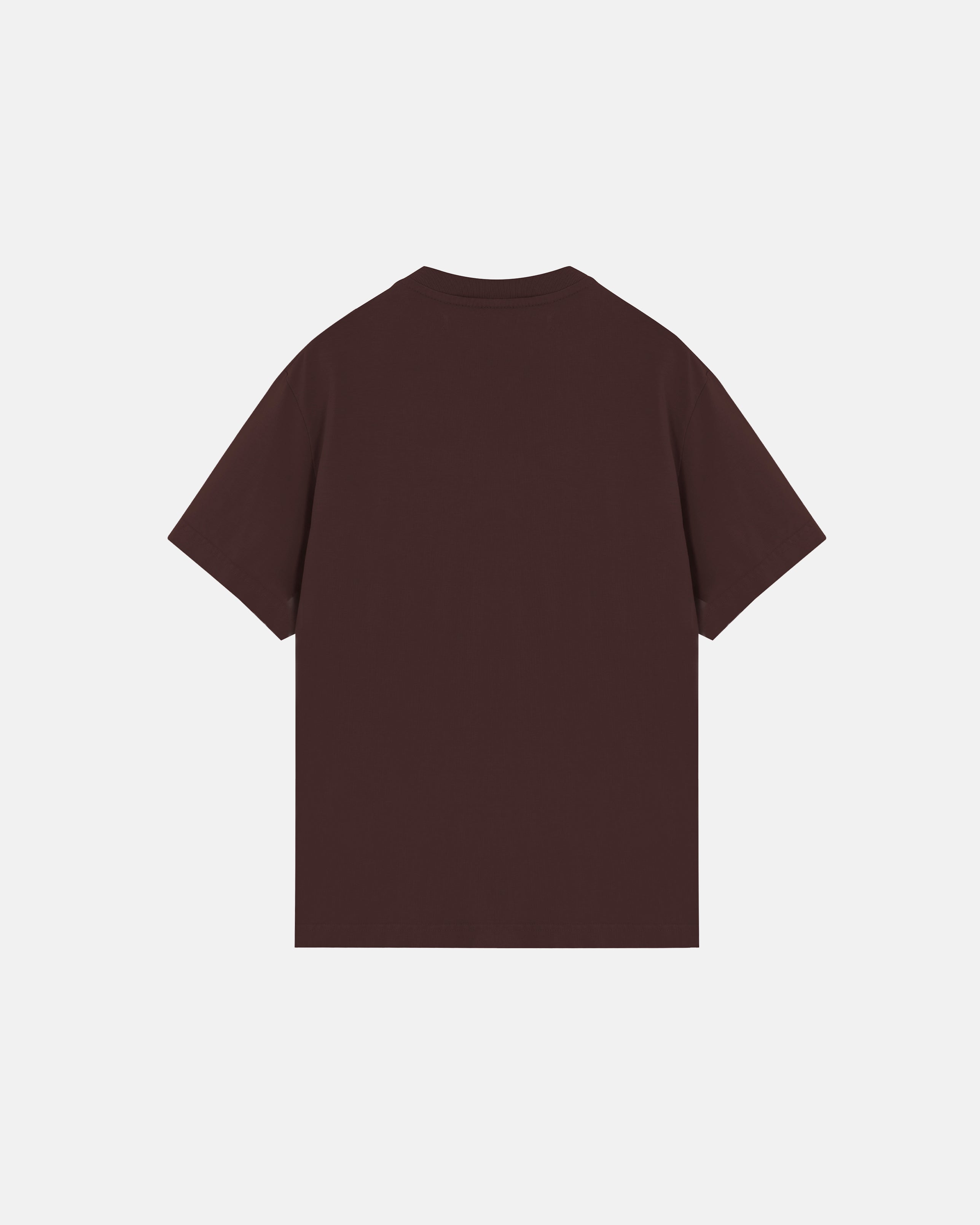 Basics Tiny Logo Regular Fit Tshirt Brown