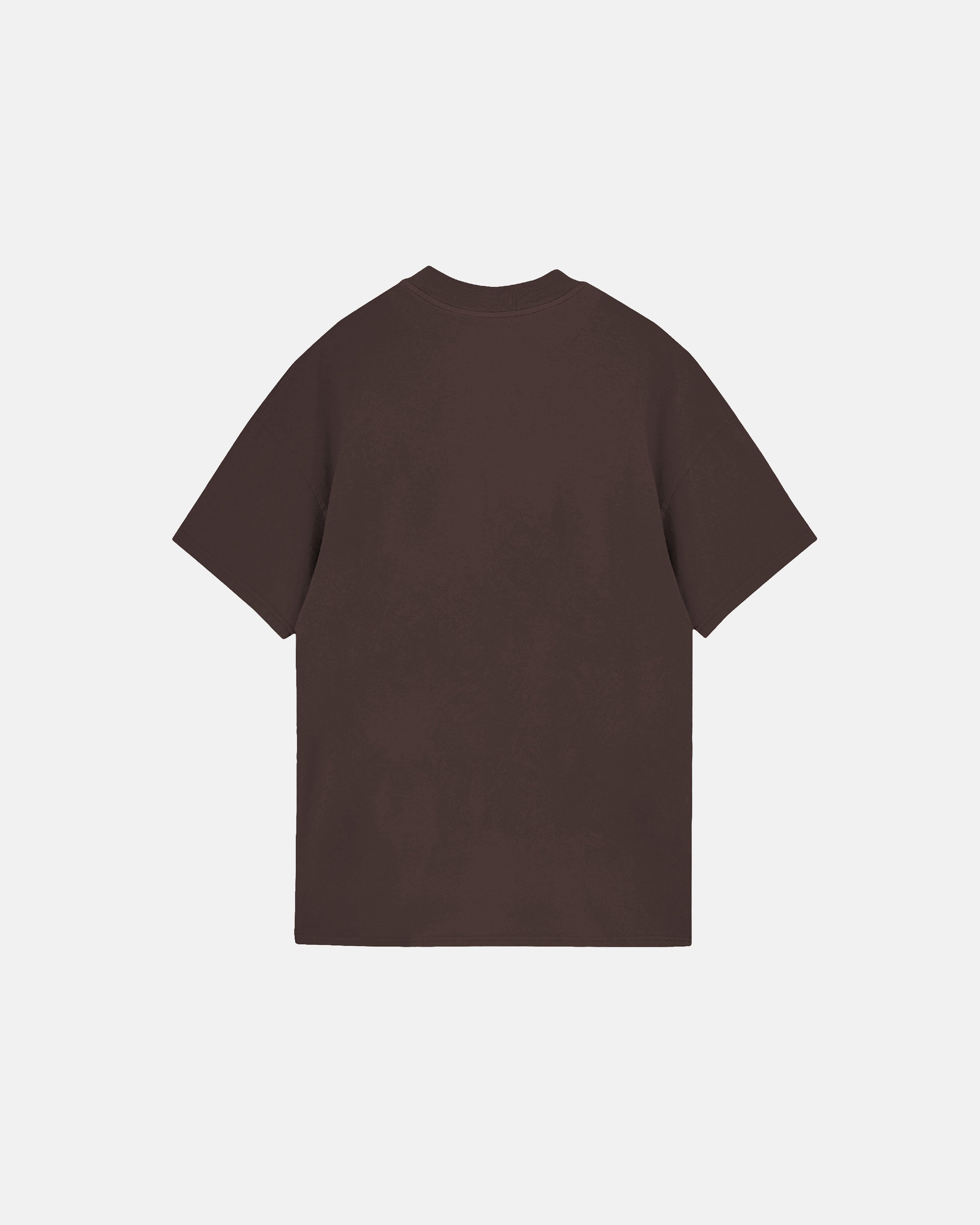 Basics Tiny Logo Regular Fit Tshirt Brown