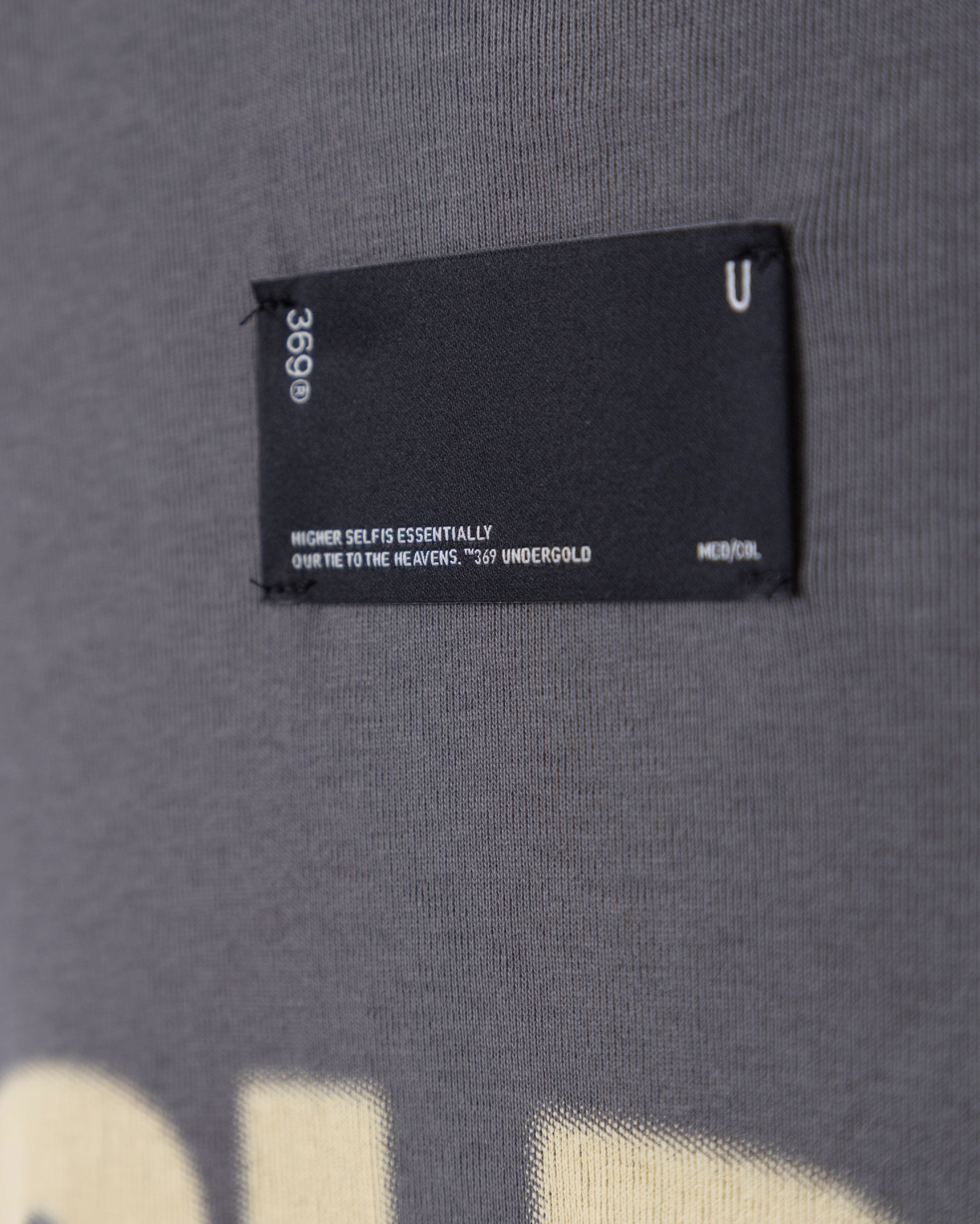 Golden Heritage Golden Boy Boxy Fit Tshirt Gray