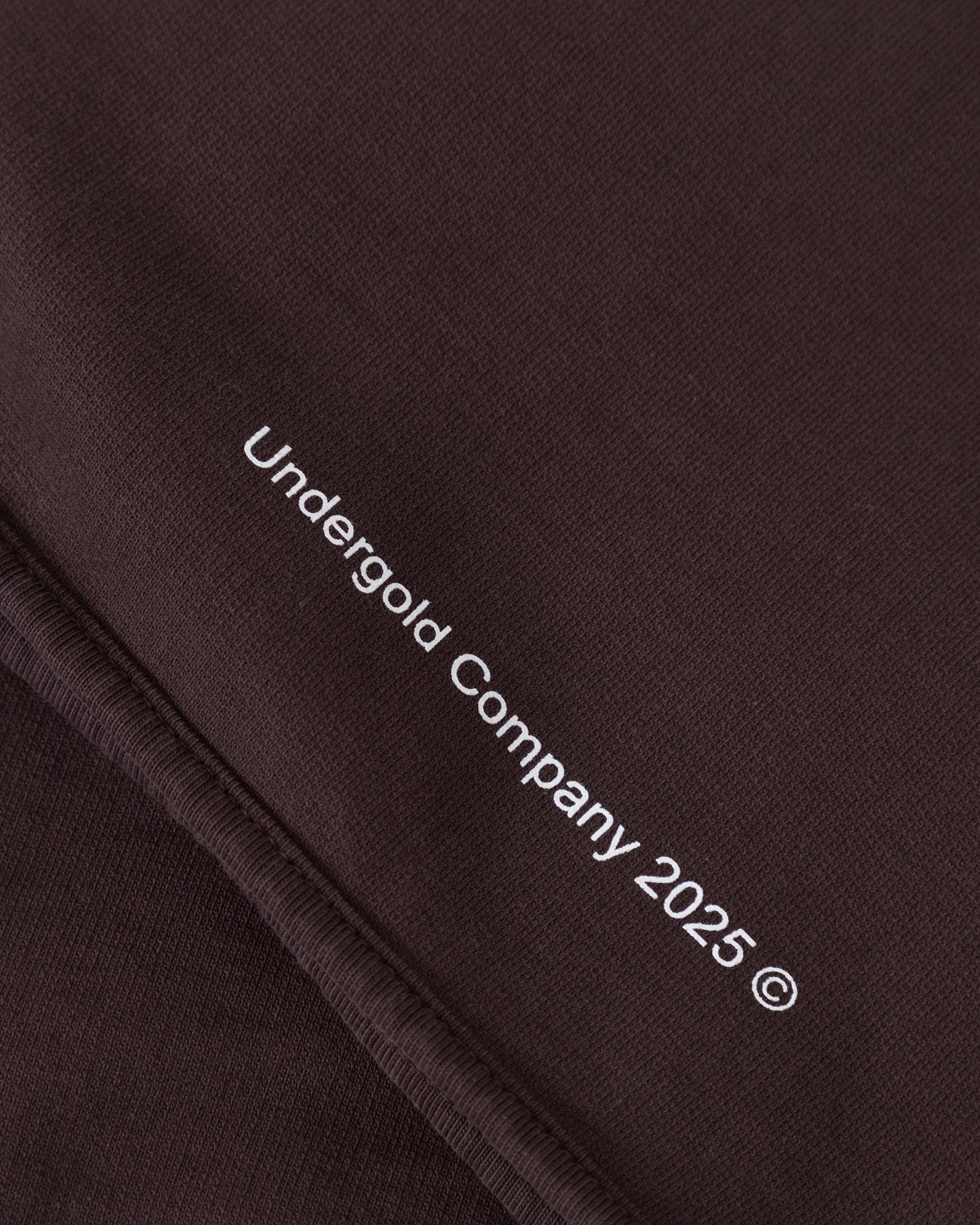 Stardust Basic Biased Shorts Brown