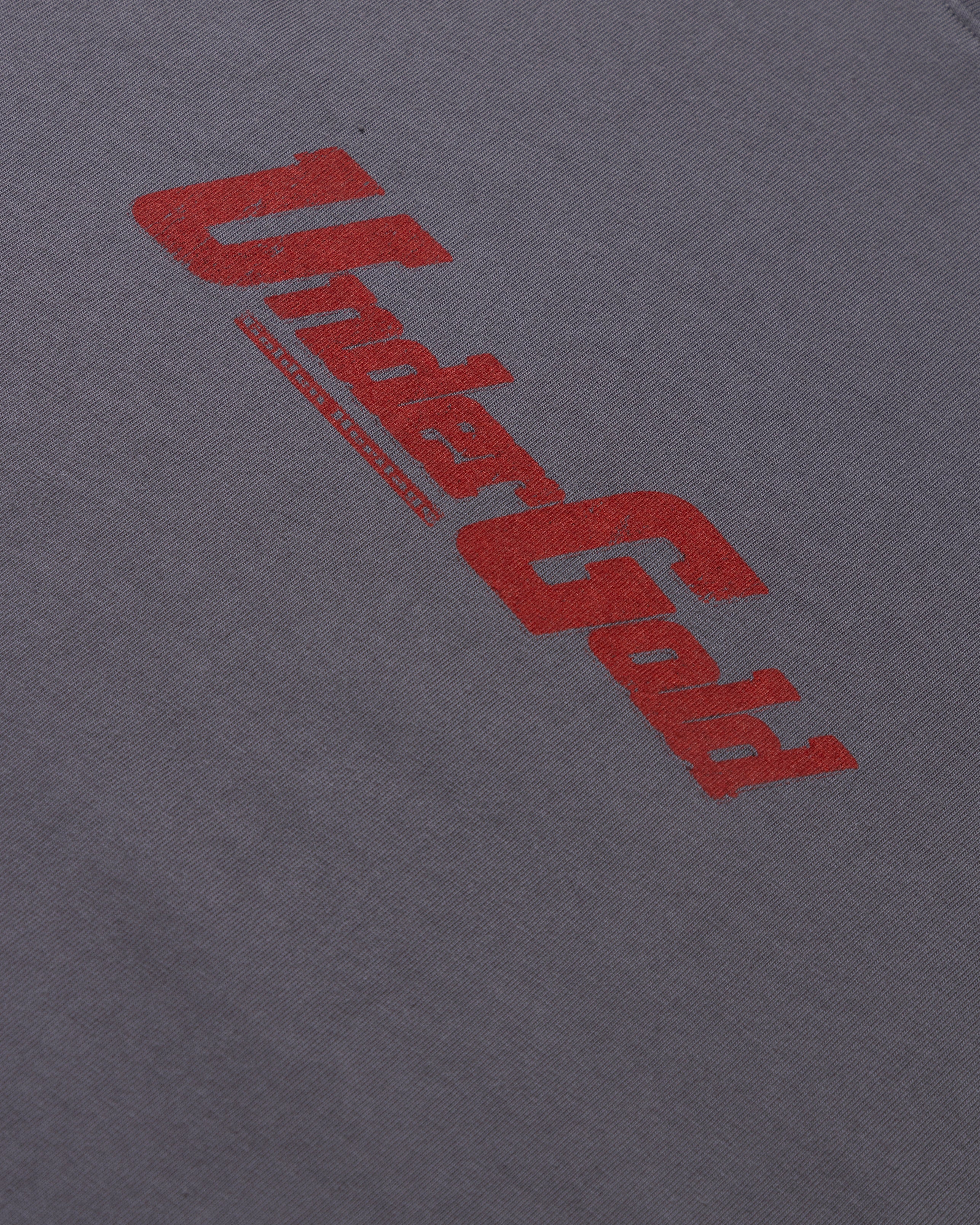 Golden Heritage Pegasus Tshirt Gray