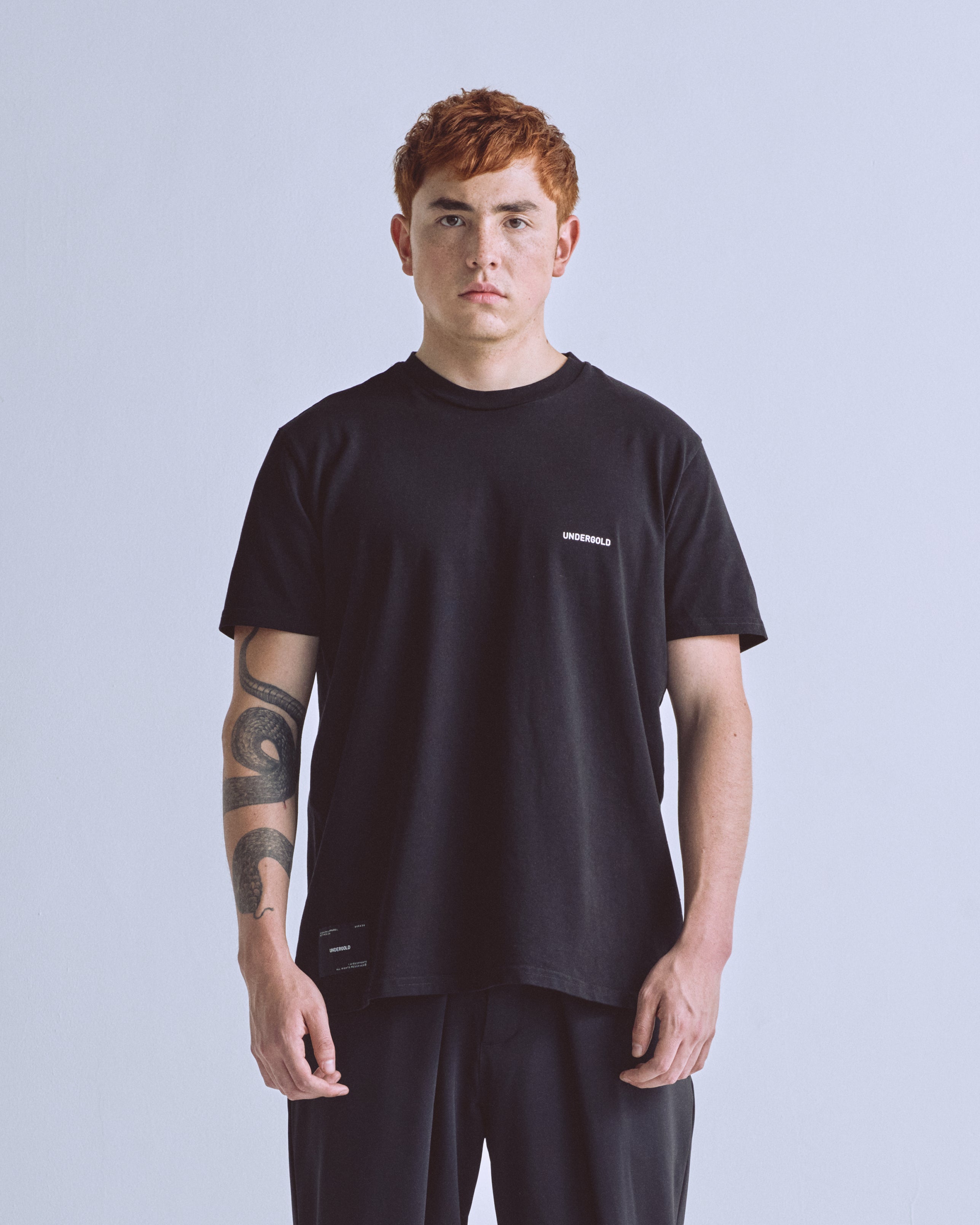 Basics Tiny Logo Regular Fit Tshirt Black