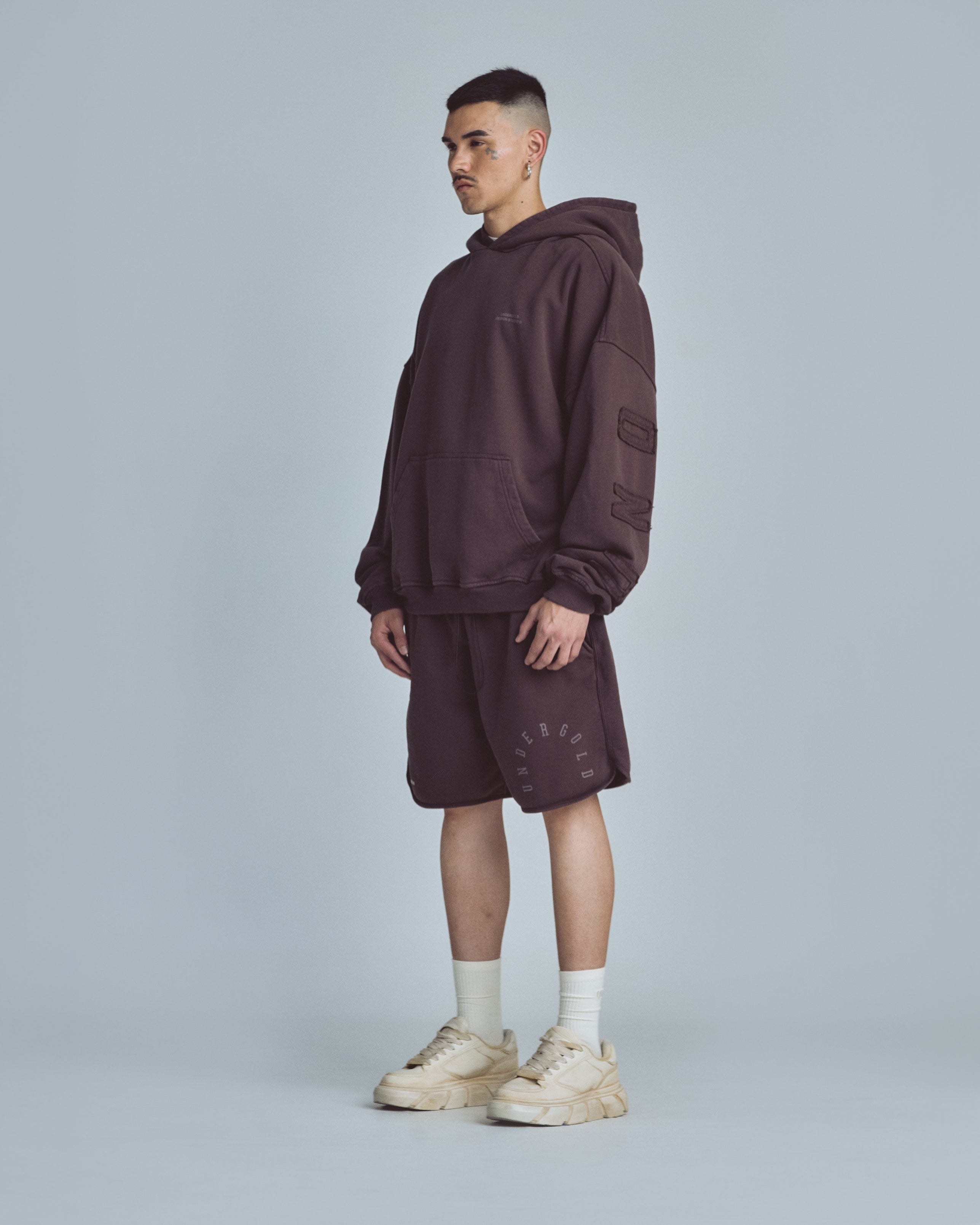 Stardust Basic Hoodie Brown