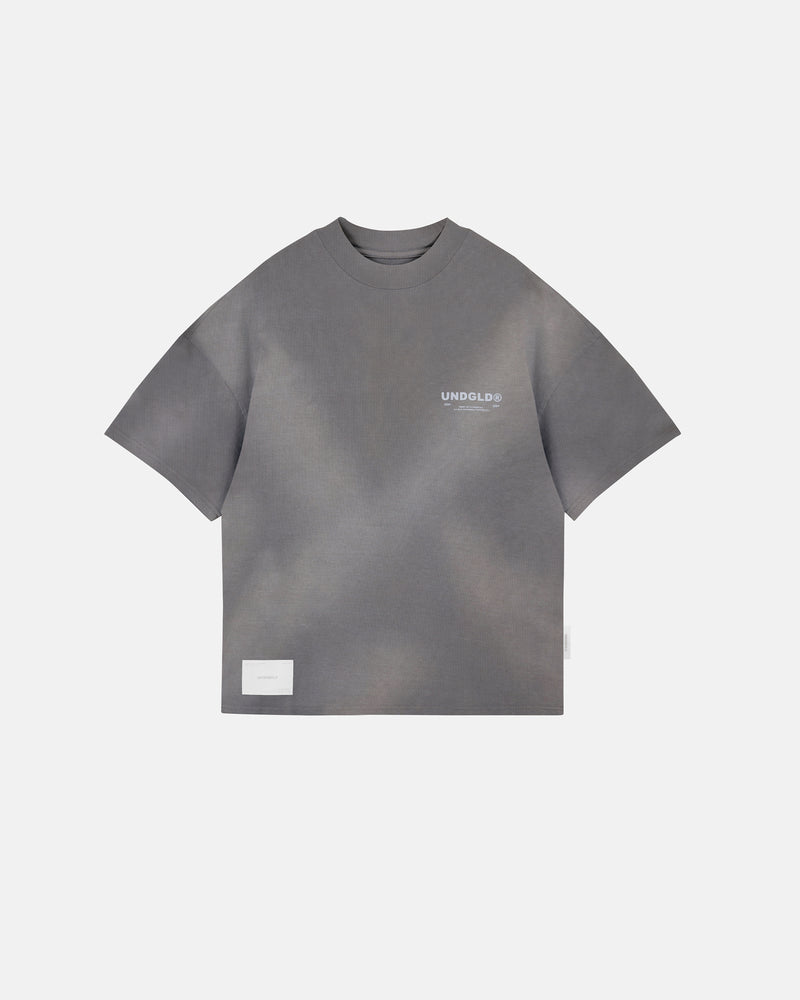 Beyond Palms Boxy Fit Tshirt Vintage Gray