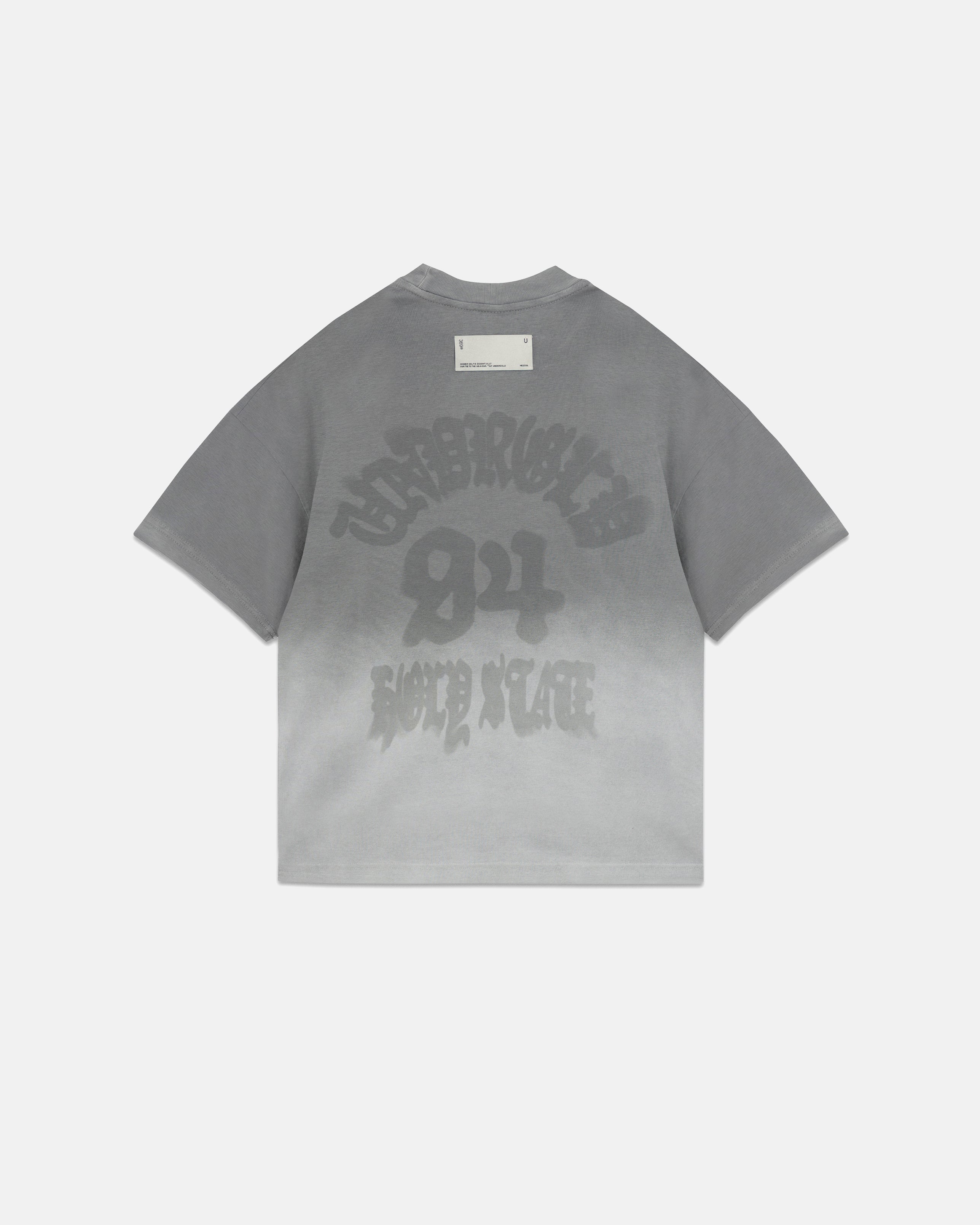 Holy State Beautiful Soul Boxy Fit Tshirt Faded Gray