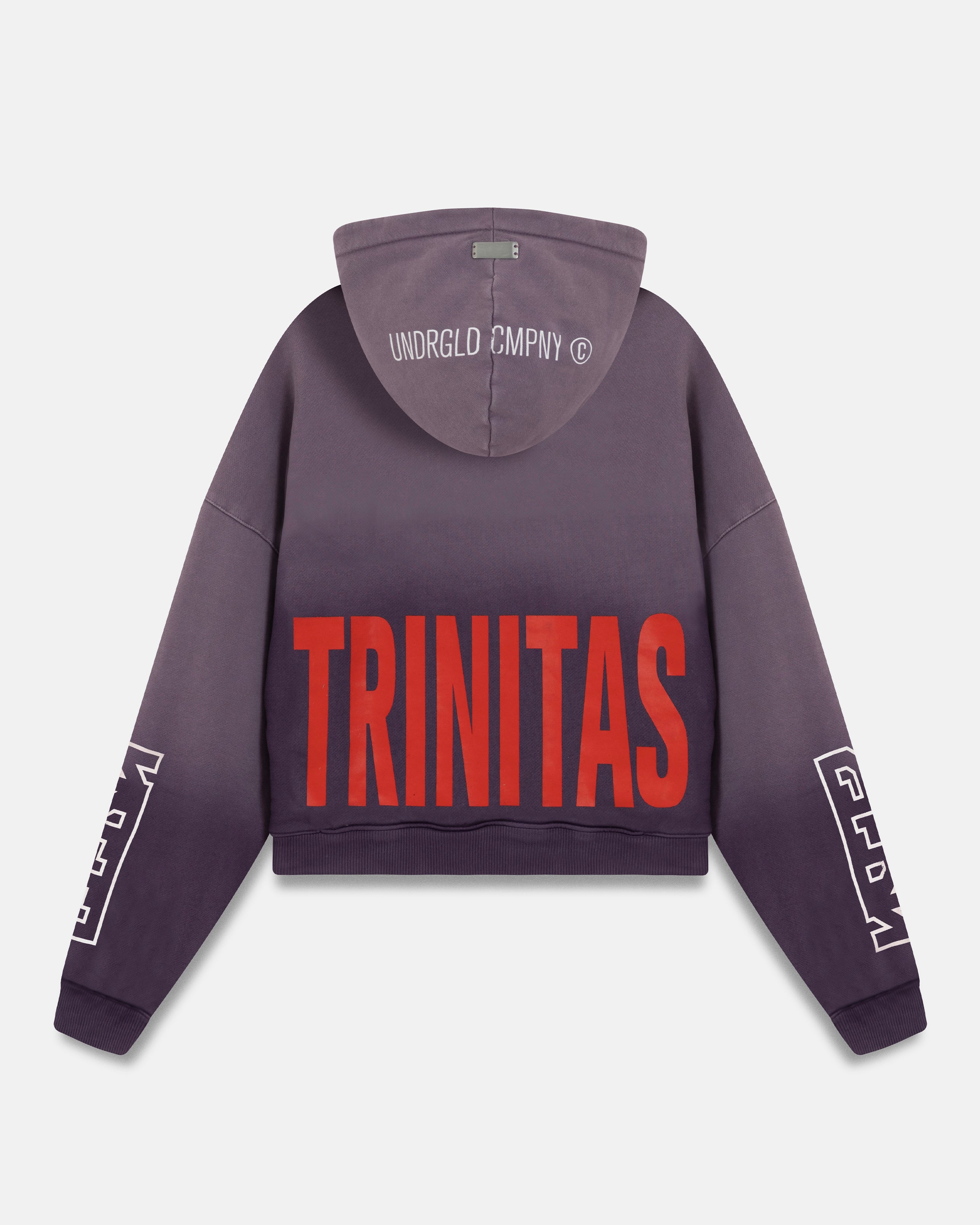 W Spring Trinitas Boxy Fit Hoodie Sandblast Grape