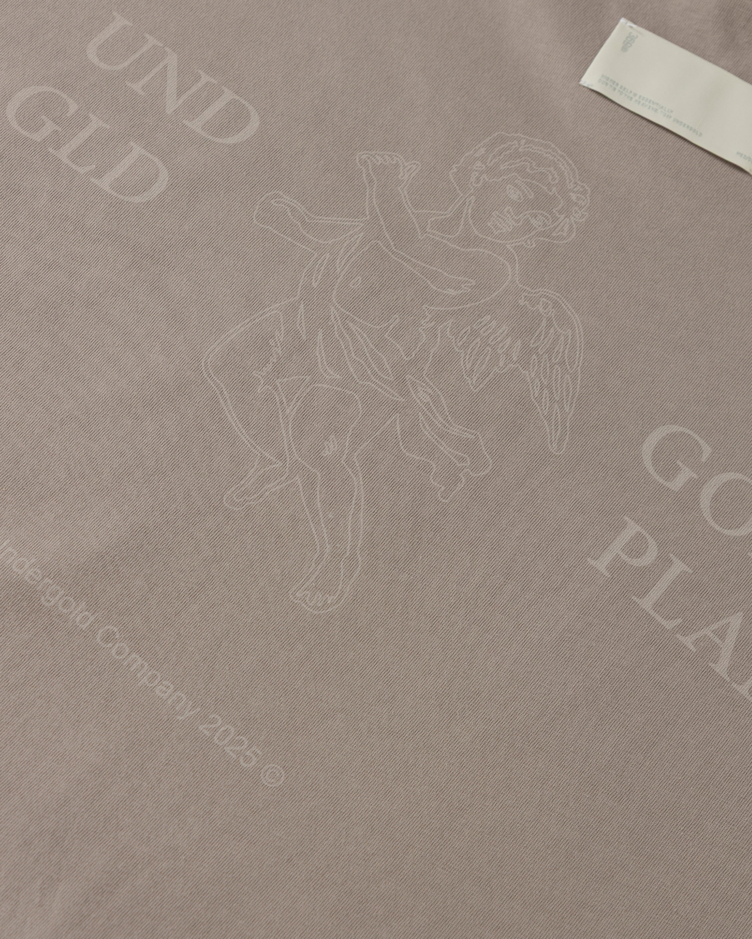 Echoes God's Plan Tshirt Light Brown