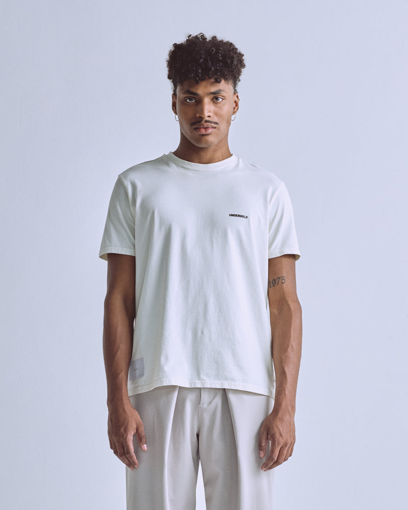 Basics Tiny Logo Regular Fit Tshirt White