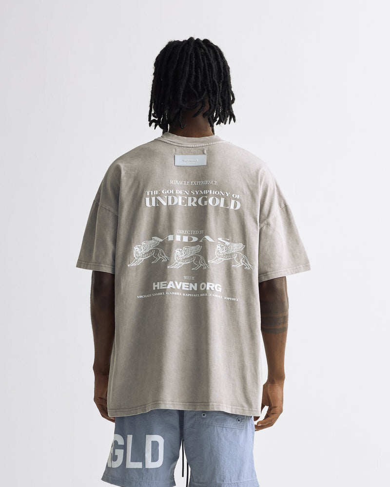 Symphony Peace Boy Tshirt Washed Gray